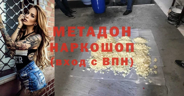 прущие грибы Саяногорск