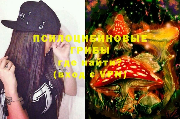 гидра Сатка